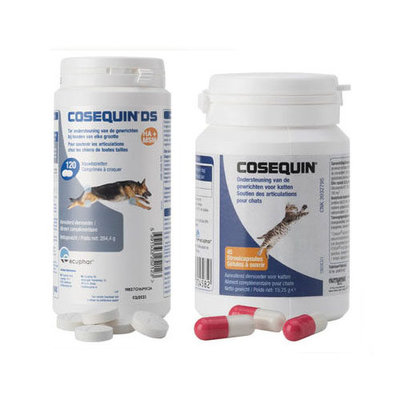 COSEQUIN DS DOG CHEWS 120CHEWS