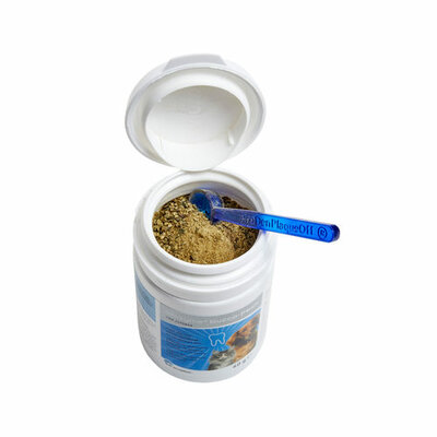 OROZYME BUCCO FRESH 40G