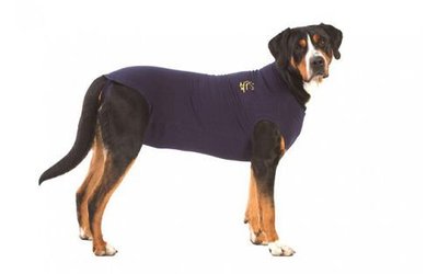 MEDICAL PET SHIRT XXL